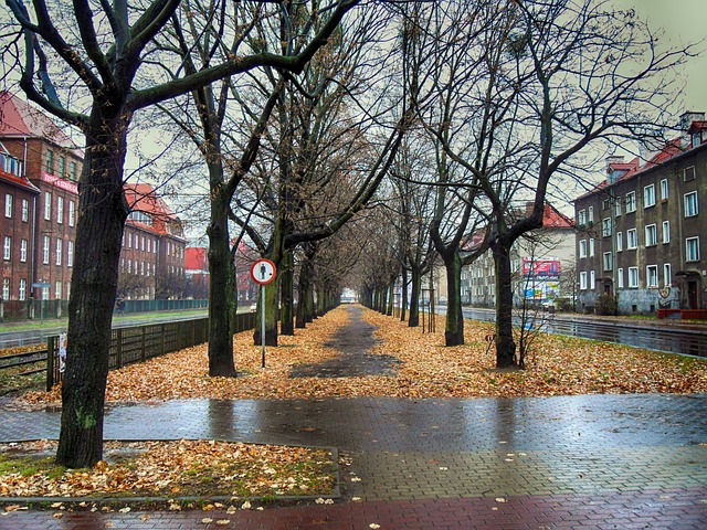 Jesienne uroki pogody w Gdańsku: odkrywaj urokliwe nadmorskie miasto w deszczu i słońcu