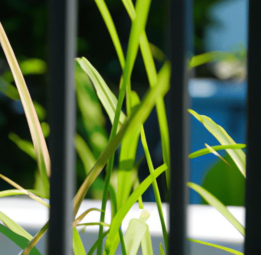 Czy sadzenie trawy na balkonie jest opłacalne i jak to zrobić?